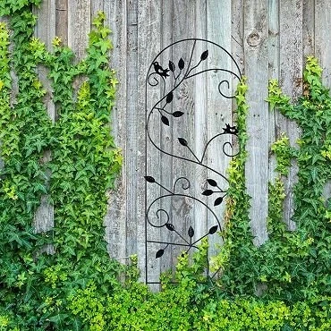 À quoi faut-il faire attention lors du transport des treillis de jardin ?